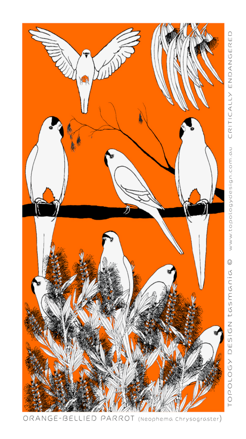 Tea towel - Orange-bellied Parrot