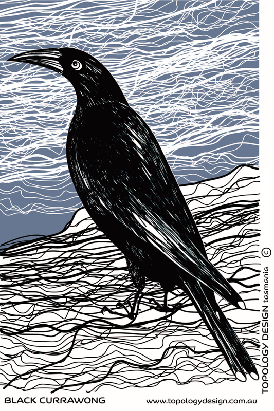 Tea Towel - Black Currawong