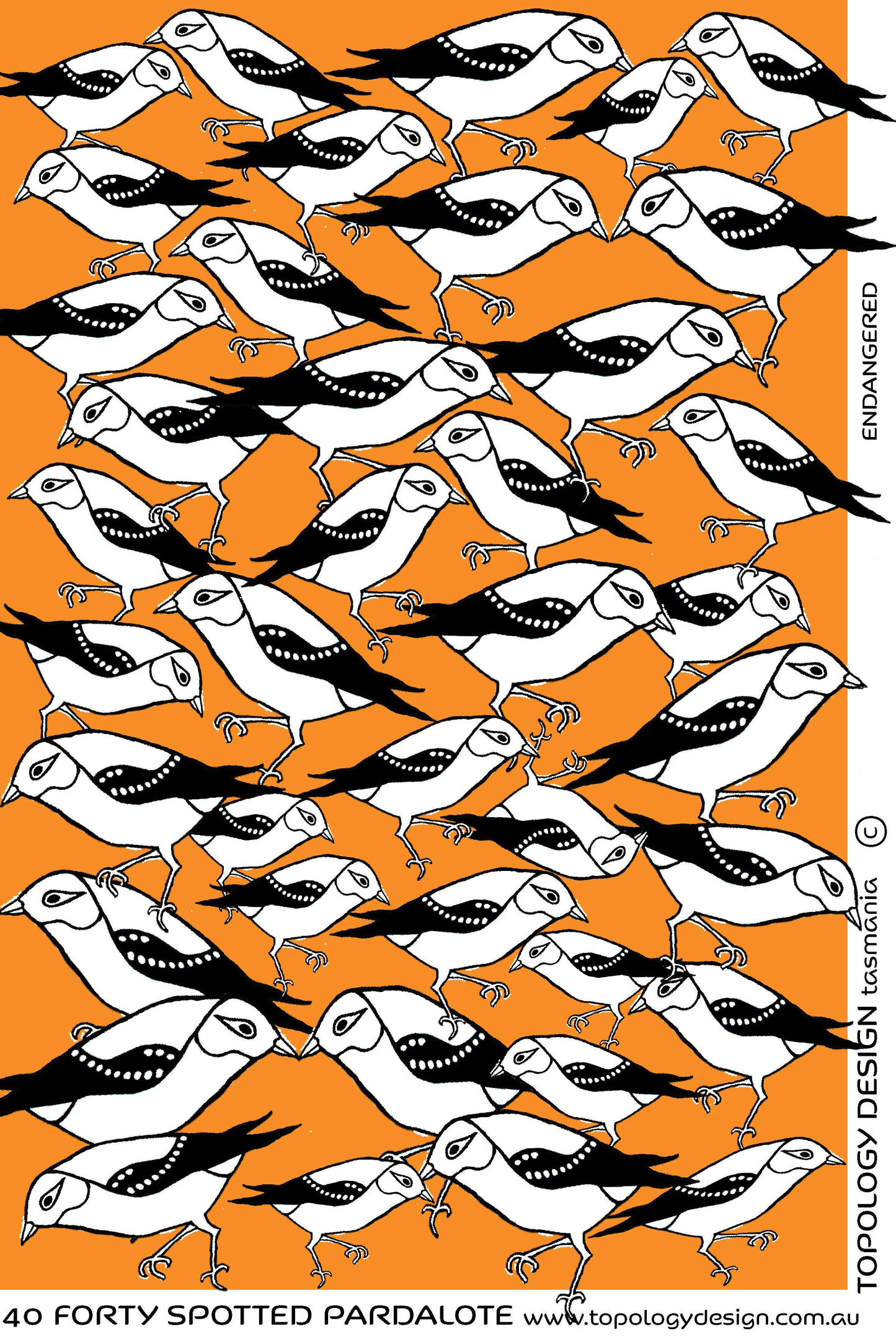 Tea Towel - Forty-spotted Pardalote (Gold)