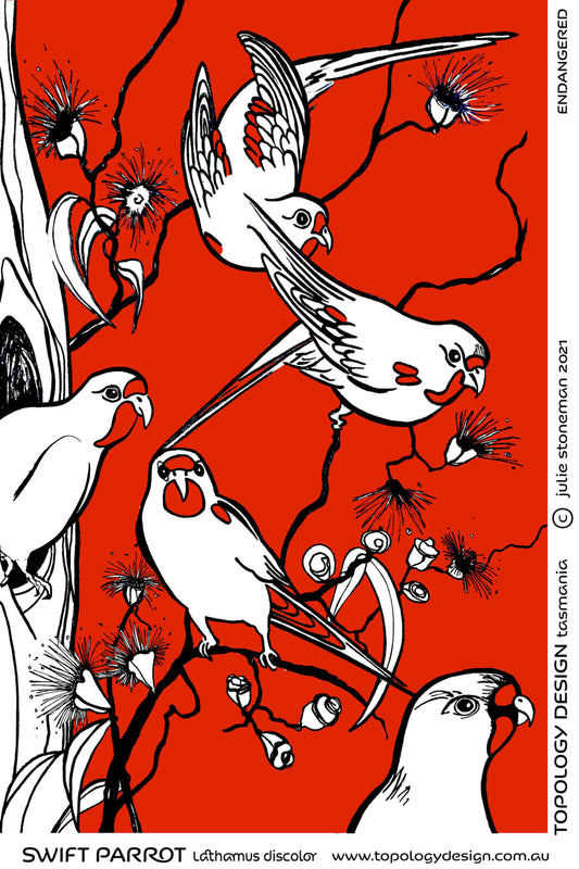 New Swift Parrot Tea Towel design