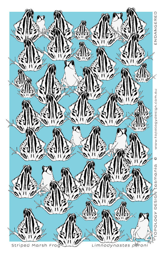 Tea Towel - Striped Marsh Frog