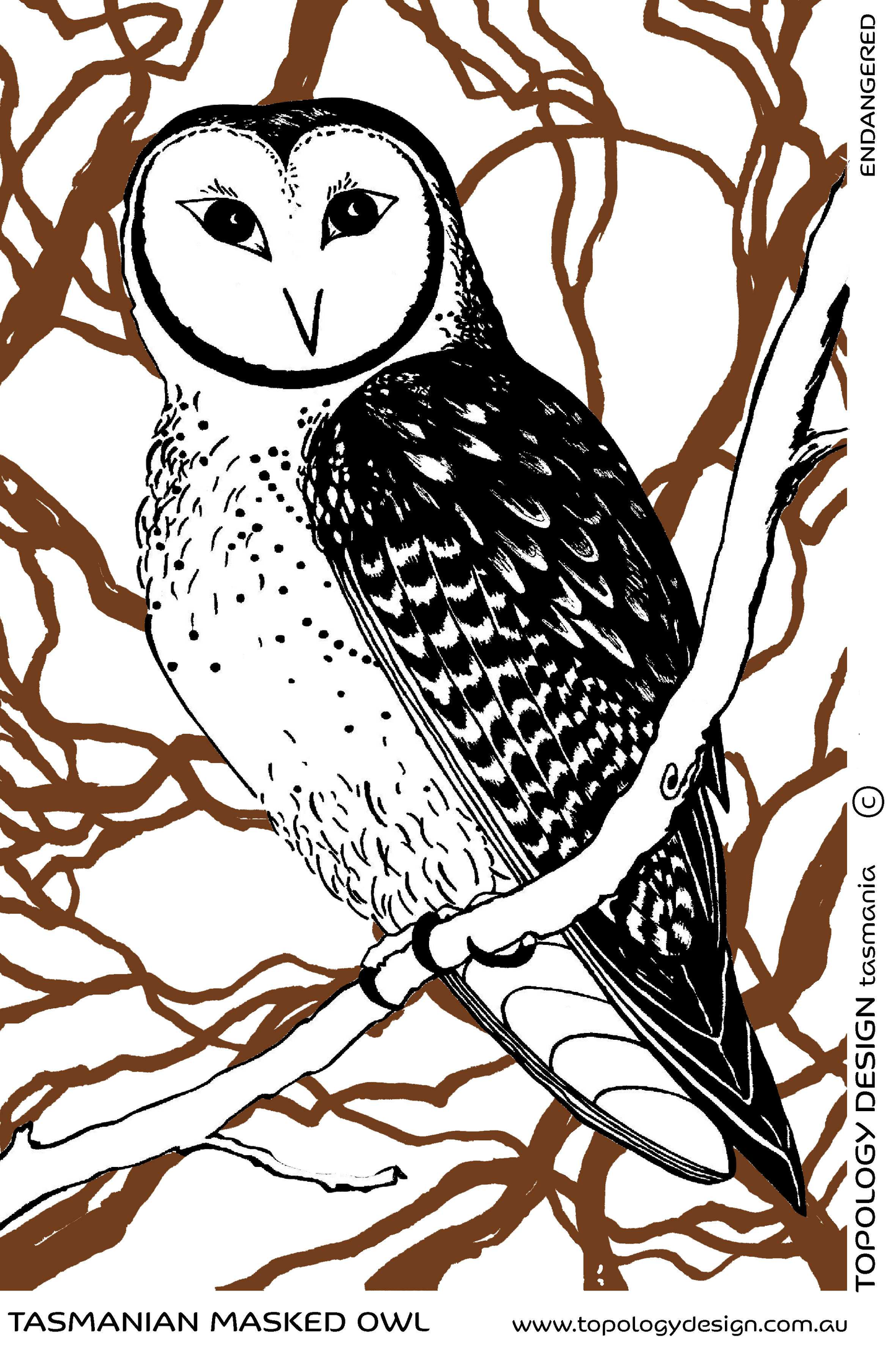 Tea Towel - Masked Owl (White Background)