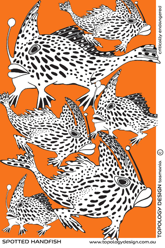 Tea Towel - Spotted Handfish (Orange Background)