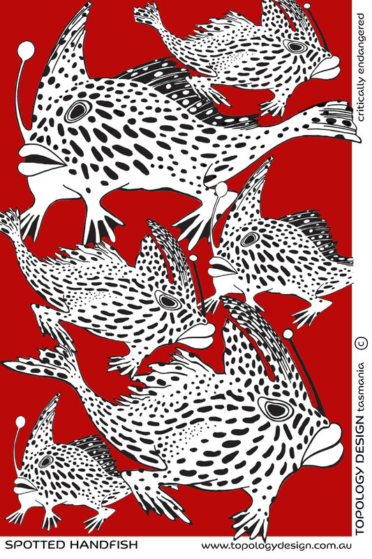 Tea Towel - Spotted Handfish (Red Background)