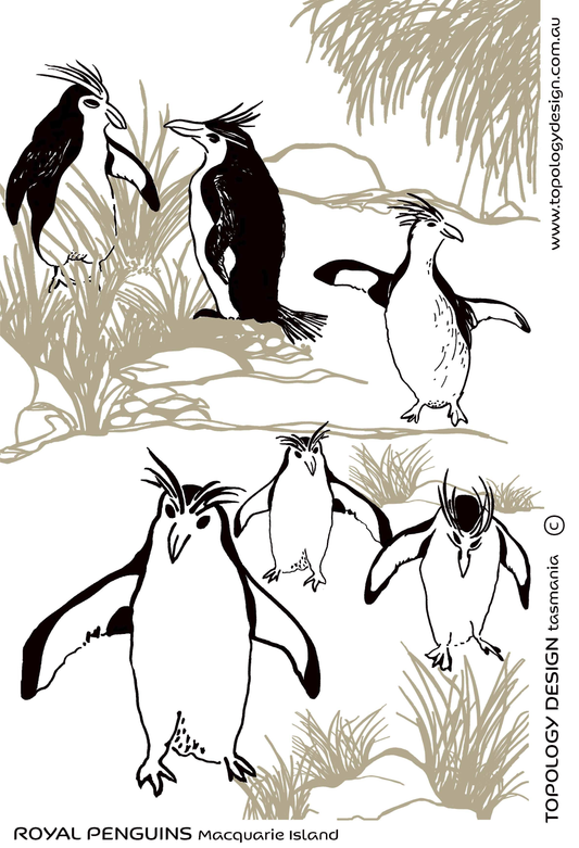 Tea Towel - Royal Penguins